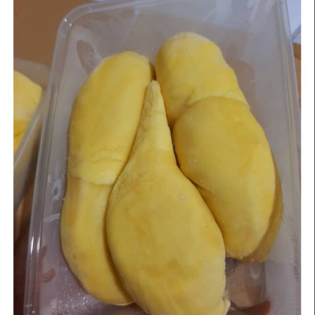 

Durian montong palu