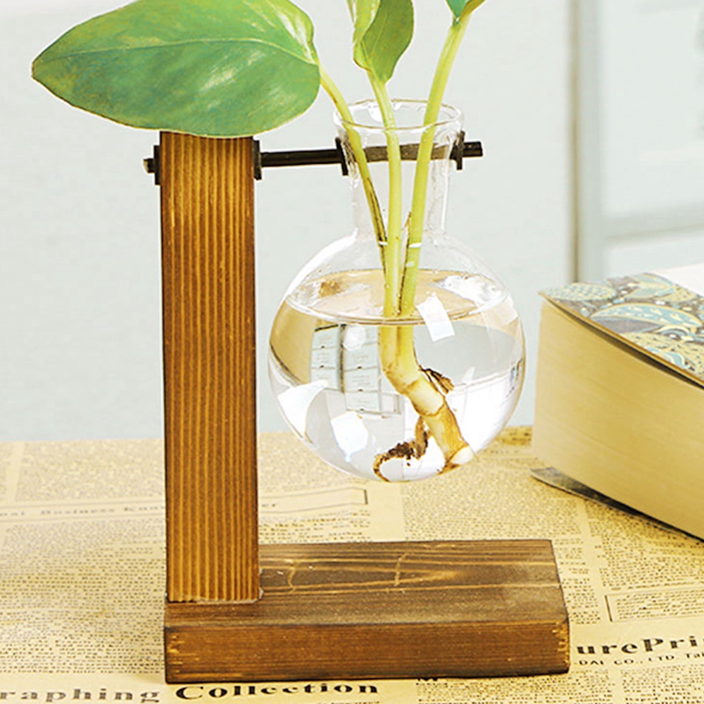 Pot Bunga Hydroponic Model Transparan Bahan Kayu untuk Pot Bunga Hydroponic Model Transparan Bahan Kayu untuk
