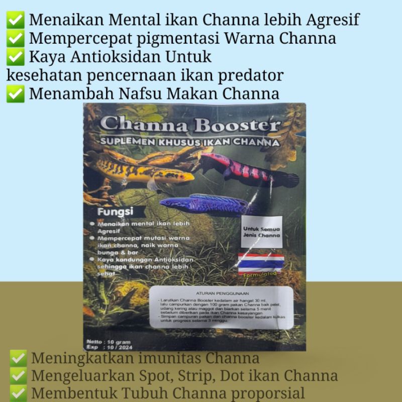 CHANNA BOOSTER Obat Mutasi Warna dan Suplemen khusus ikan Chana