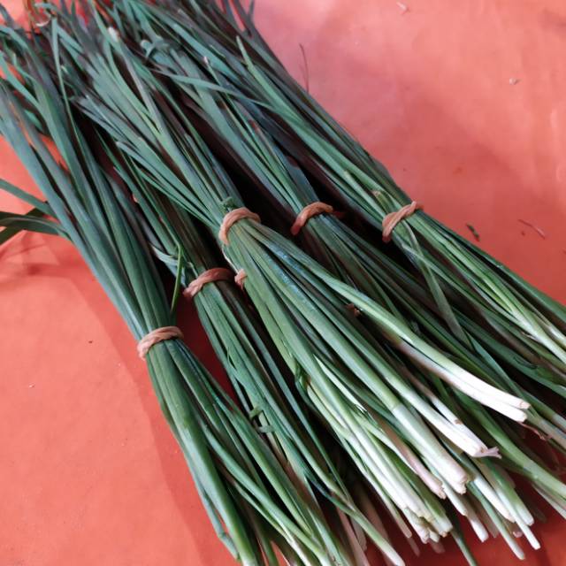

Daun Kucai / Kucai per ikat (+- 27gr)