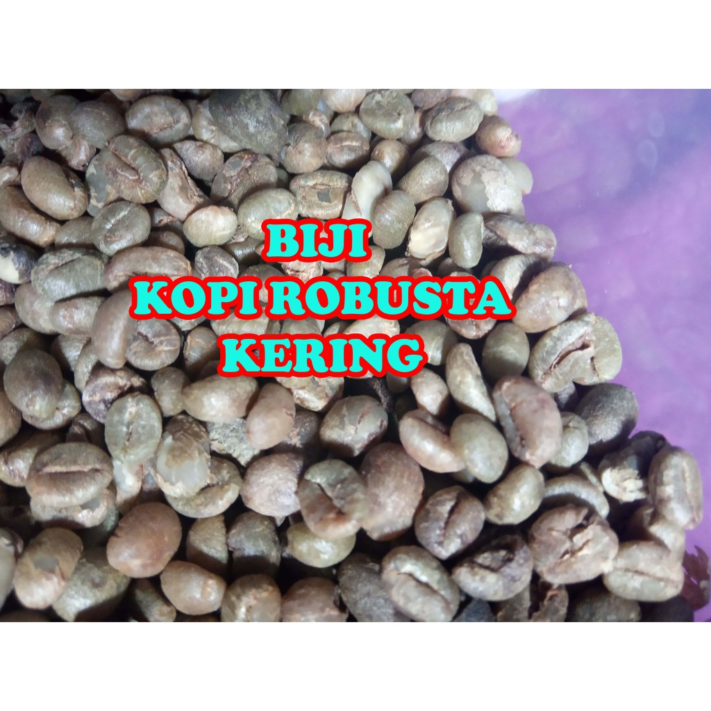 

300 gr biji kopi robusta kering lama mentah