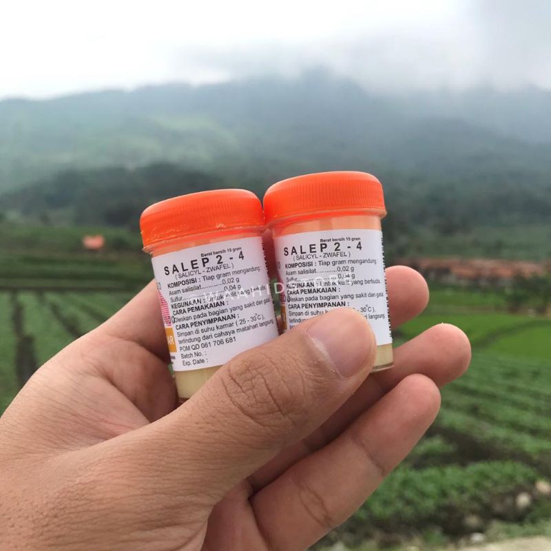 salep 2-4