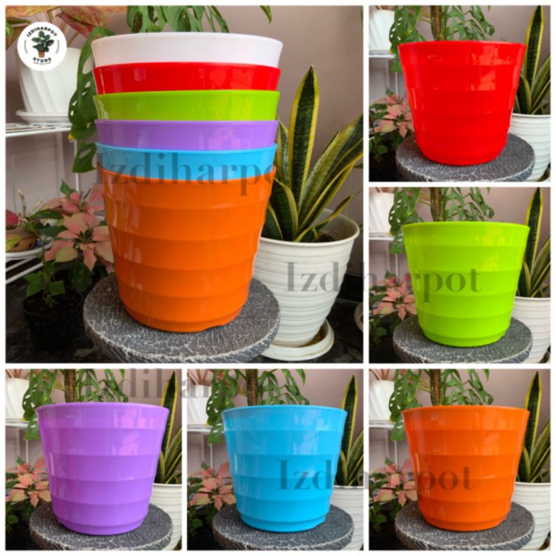 pot bunga tanaman Mado warna warni 26cm lovenia 8032 - PM 8032