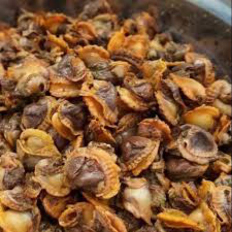 

Kerang Dara Segar 250gr (Bakulsayuronline)