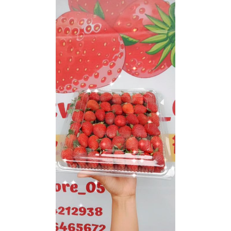 

strawberry fresh lokal 1kg