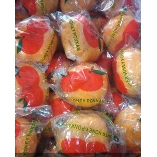 

jeruk ponkam perkrat fresh