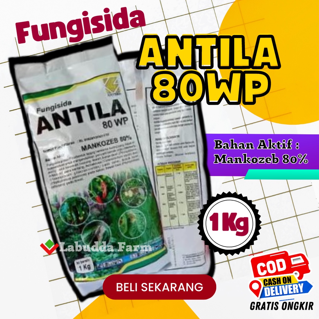Fungisida Antila 1 Kg - Fungisida Mankozeb 80% - Fungisida Antila 80WP Anti Jamur Anti Busuk Daun Pa