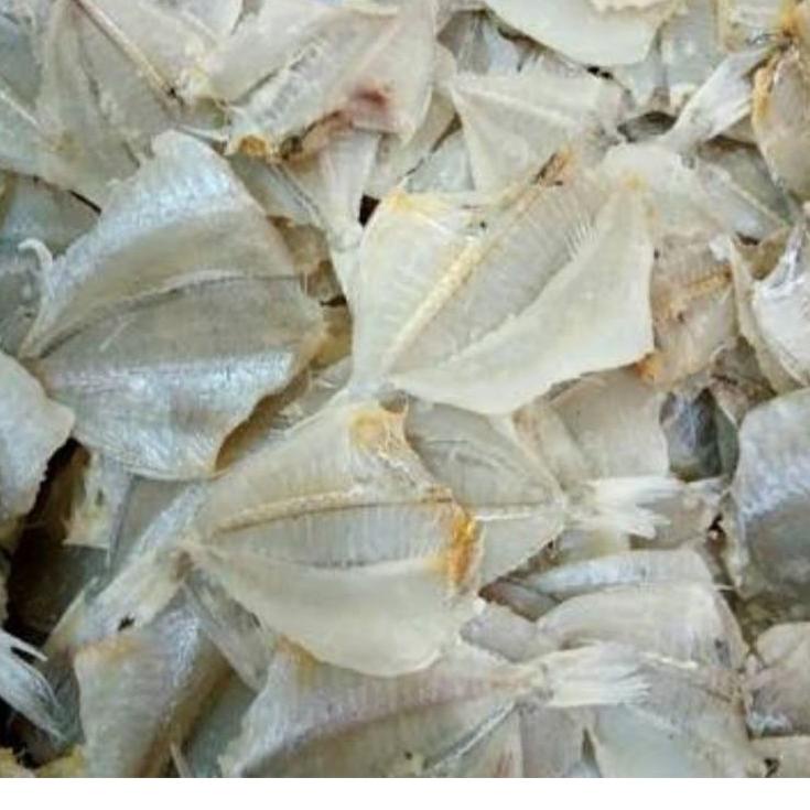 

Model baru - ikan asin kapasan belah 500 gram t seler !