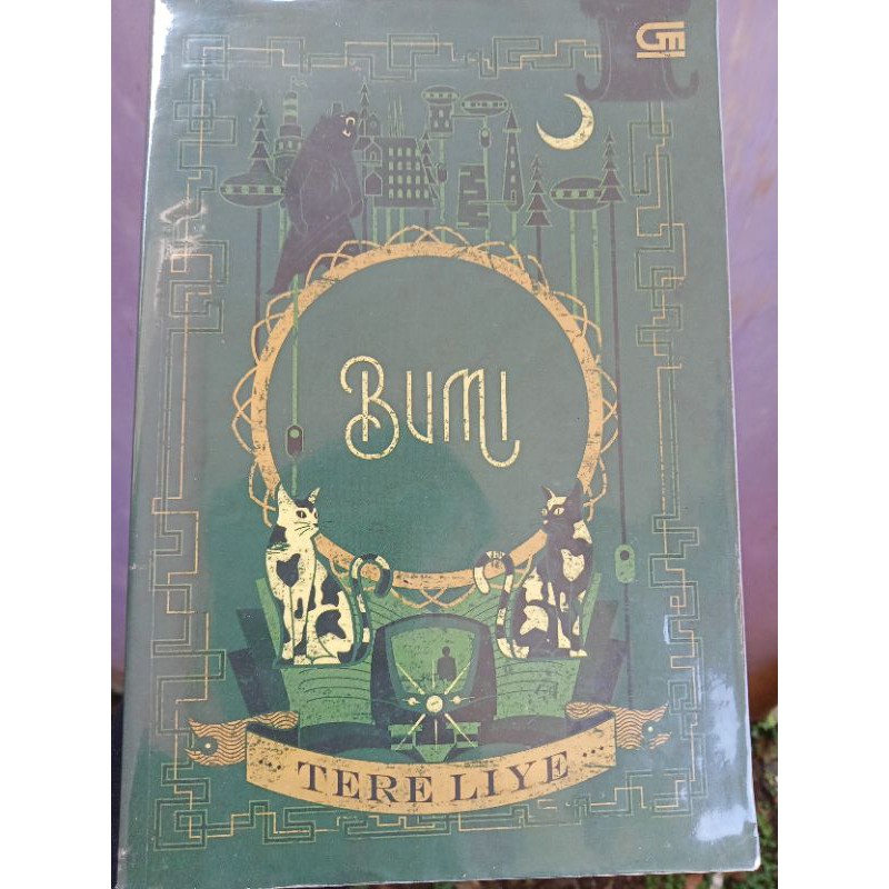 PRELOVED NOVEL BUMI TERE LIYE | ORIGINAL BUKU BUMI TERE LIYE BEKAS KOLEKSI