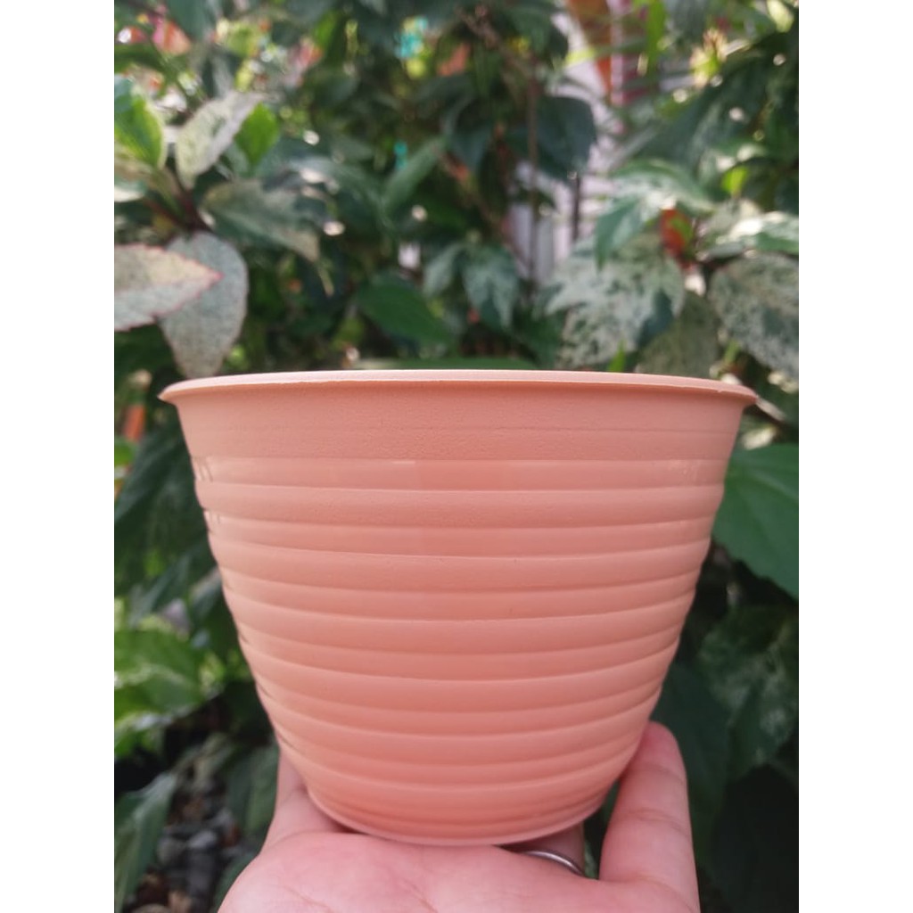 Pot Tawon 10 Cm Putih / Pot Madu 10 / Mdn 10 / Dahlia Plastik 10CM Vas Bunga Tanaman Kaktus