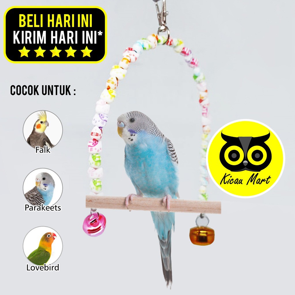 AYUNAN BURUNG MUTE MAINAN TANGKRINGAN AYUN LOVEBIRD PARKIT SUN CONURE SUNCONURE SMALL PARROT AYMUTE