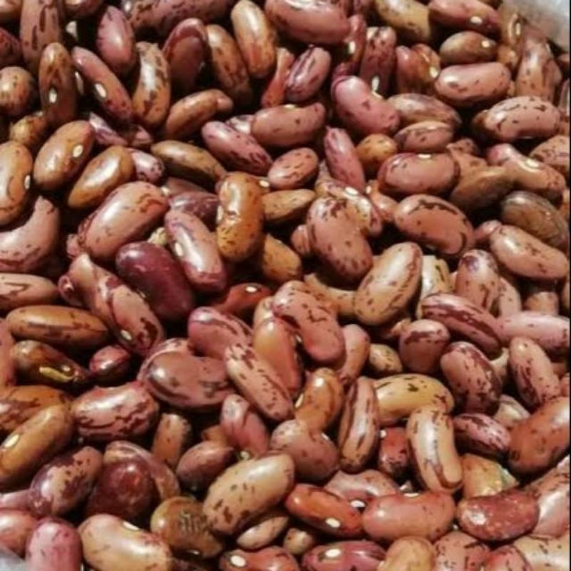 

Kacang Jogo / Kacang Merah 250 Gram