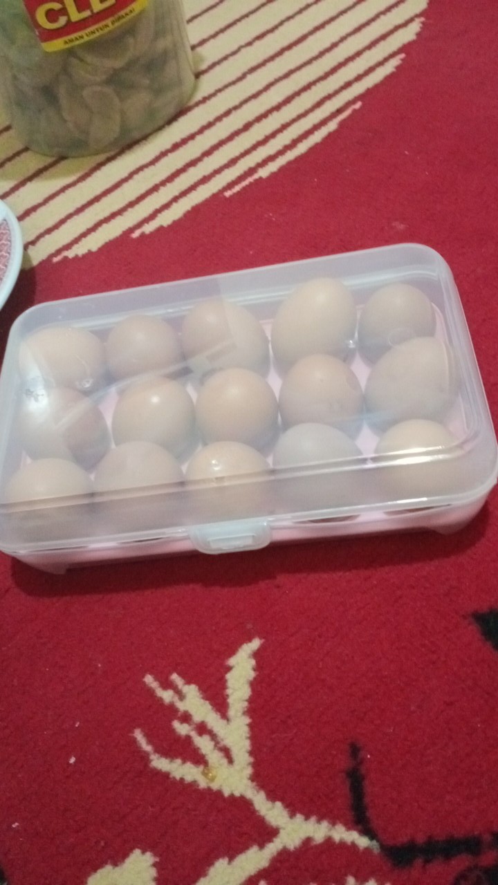 Tempat Penyimpanan Telor Telur 15pcs Storage Egg Box Alat Dapur Perlengkapan Rumah Tangga