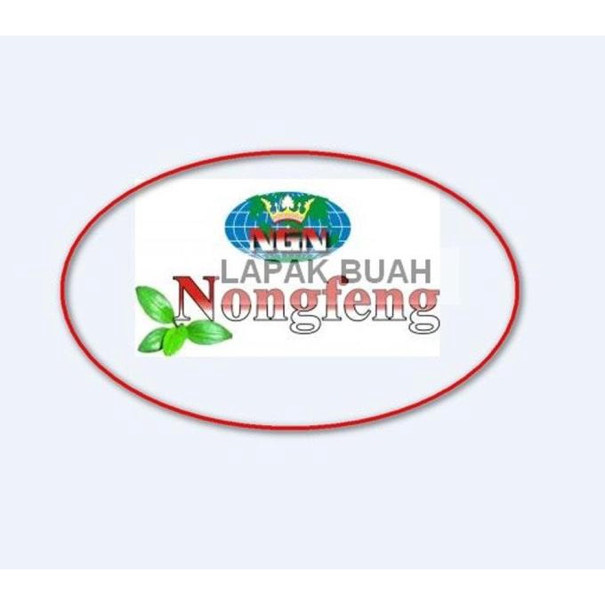 Pupuk Nongfeng Hijau