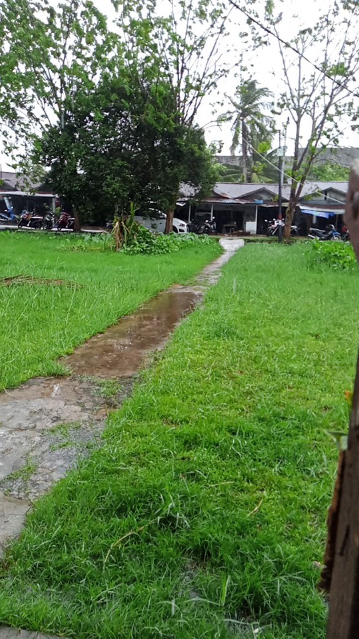 Xijing2 Warna Spatula Silikon Kecil, Spatula Kue Tahan Suhu Tinggi, Spatula Spatula Mentega Susu