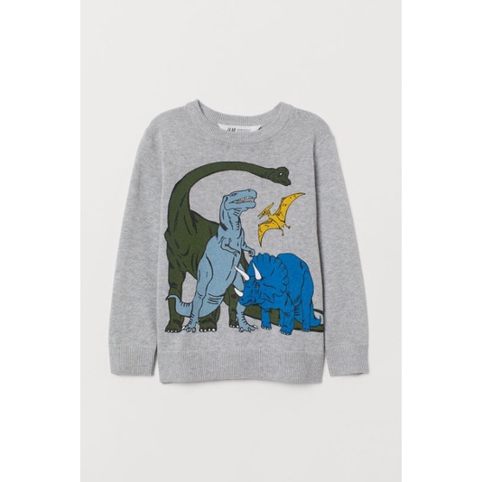 Sweatshirt H&M Boy Tiger Dinosaurus Sweatshirts HnM