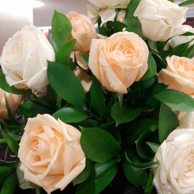 Faceshield Gerinda Pelindung Muka Wajah Alat Safety