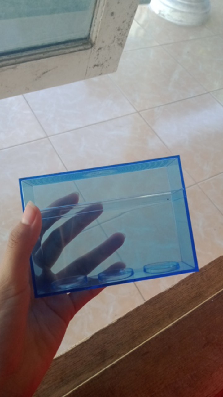Kotak Asesoris Pernak Pernik ∭ Suvenir Ultah Mika Box Plastik Tebal Transparan Akrilik Biru / Ungu ♘