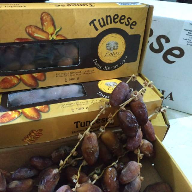 

Kurma Tunisia