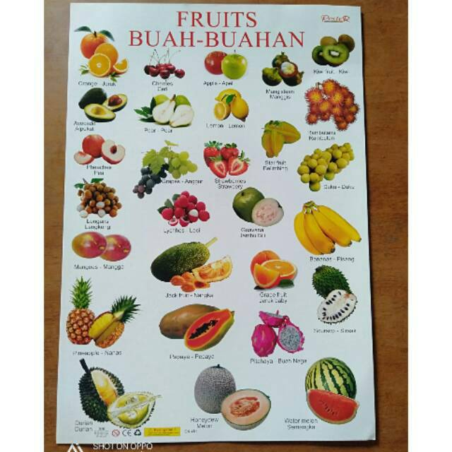 Poster Edukasi Buah Buahan Fruits Shopee Indonesia