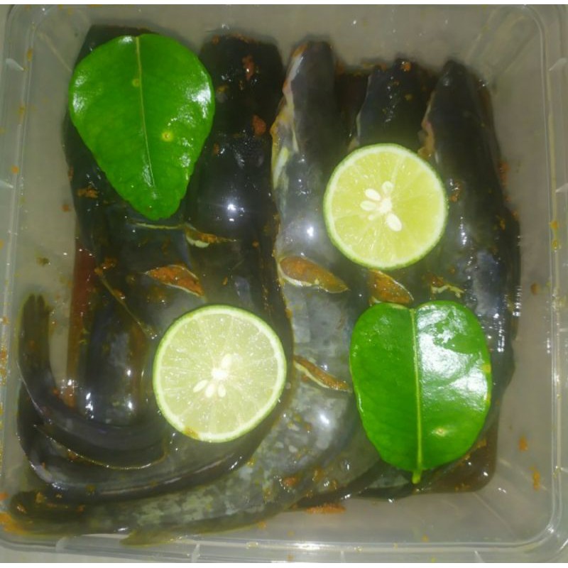 

ikan lele bumbu kuning 1 kg