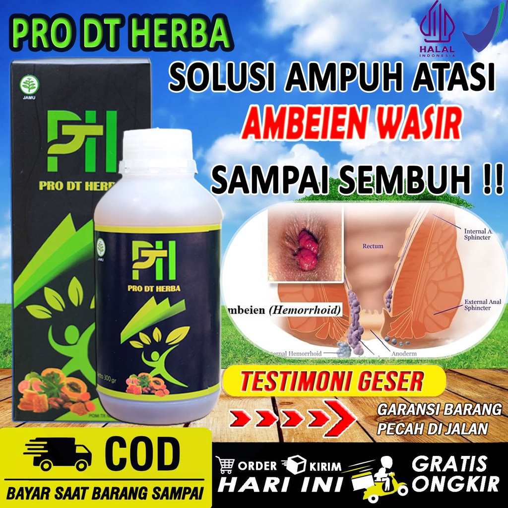 Pro DT Herba Non Obat Ambeien - Wasir  Paling Ampuh Herbal Atasi Ambeien - Wasir  Mengempeskan Benjo