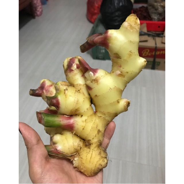 

Jahe kalimantan organic