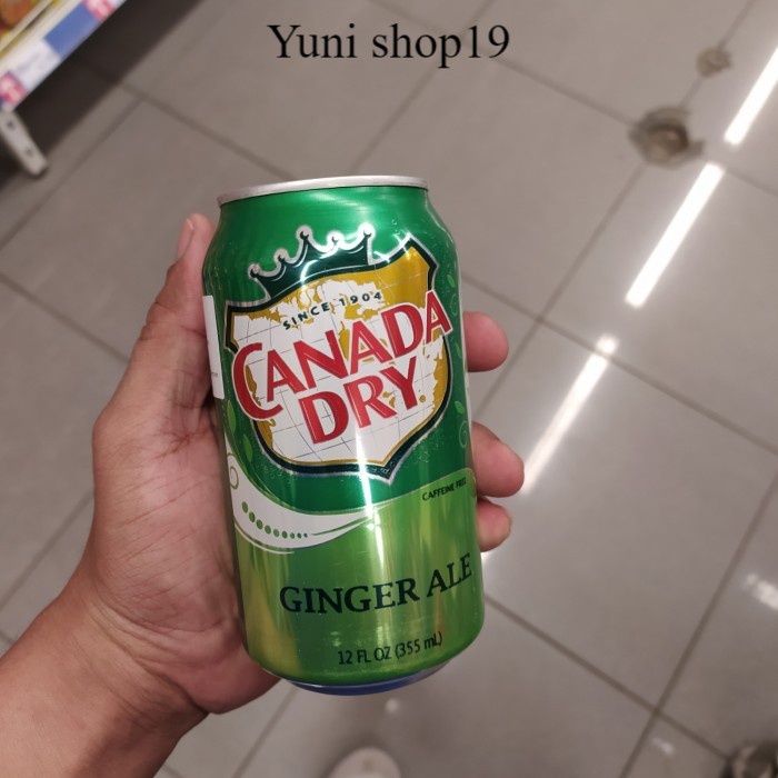 

canada dry ginger ale 355ml minuman