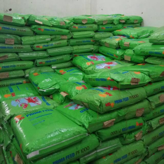 PF 1000 PF1000 murah 1karung 10kg makanan ikan Guppy Molly Neon Tetra Platys Coral Platy Danio Slaye