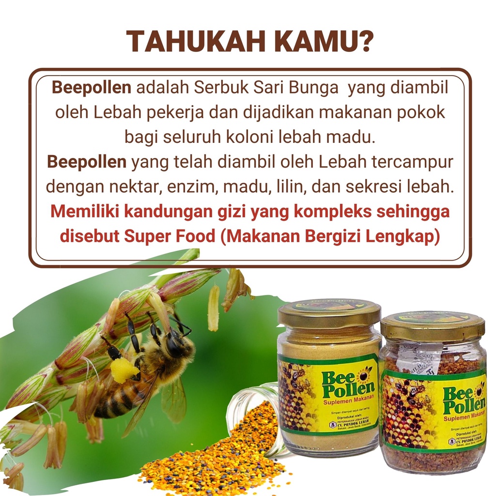 

Pondok Lebah - Bee Pollen Halus Super Food Preum Multivitan 1Kg