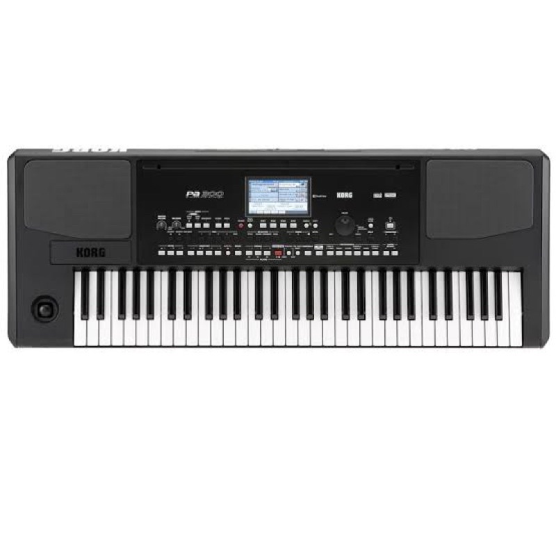 KORG PA 300