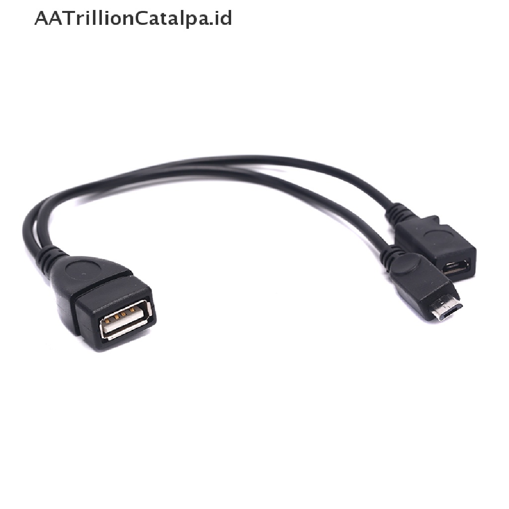 Aa Kabel Adapter Power Splitter Y Trillioncatalpa OTG Male Ke USB A Male Female