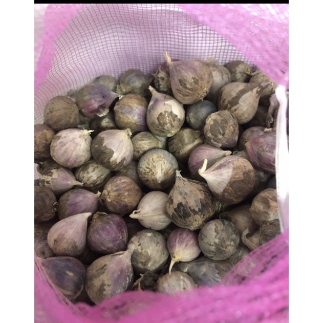 

RB Bawang Putih Tunggal/Bawang Putih Lanang Import 1KG