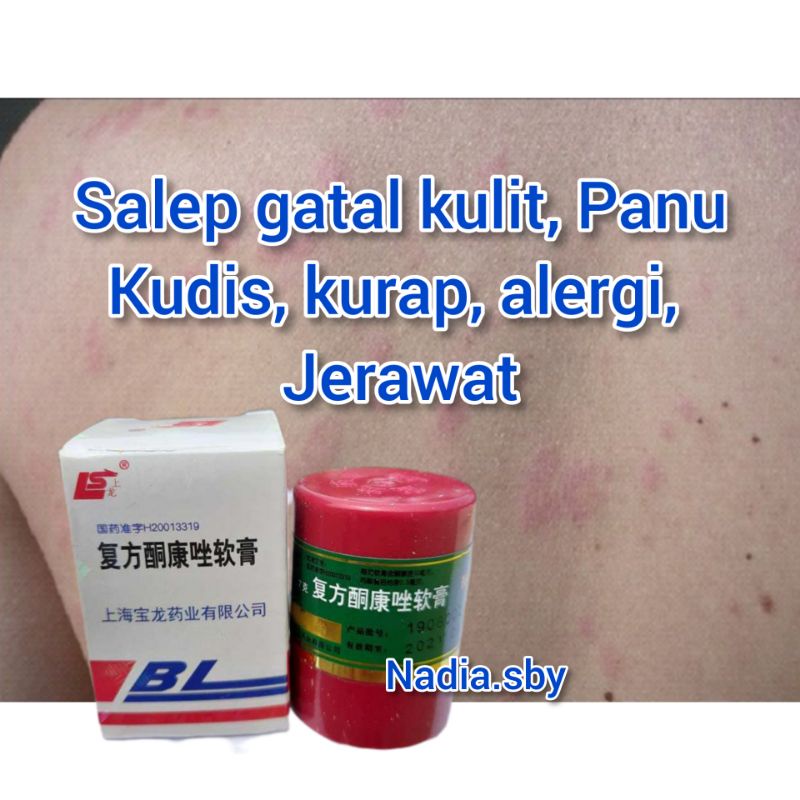 SALEP BL SALEP KULIT GATAL JERAWAT PANU KUDIS KURAP ALERGI