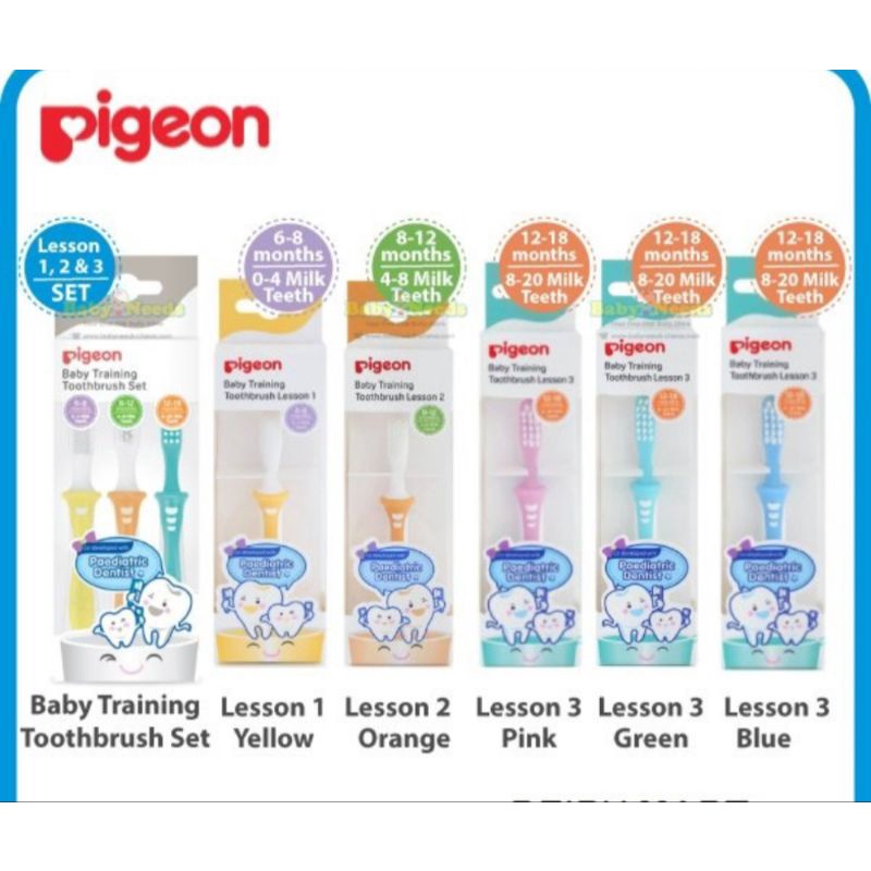 PIGEON TRAINING TOOTHBRUSH LESSON 1 2 3 / TOOTHBRUSH / PIGEON