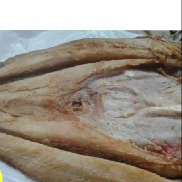 

ikan asin jambal dengan kualitas istimewa
