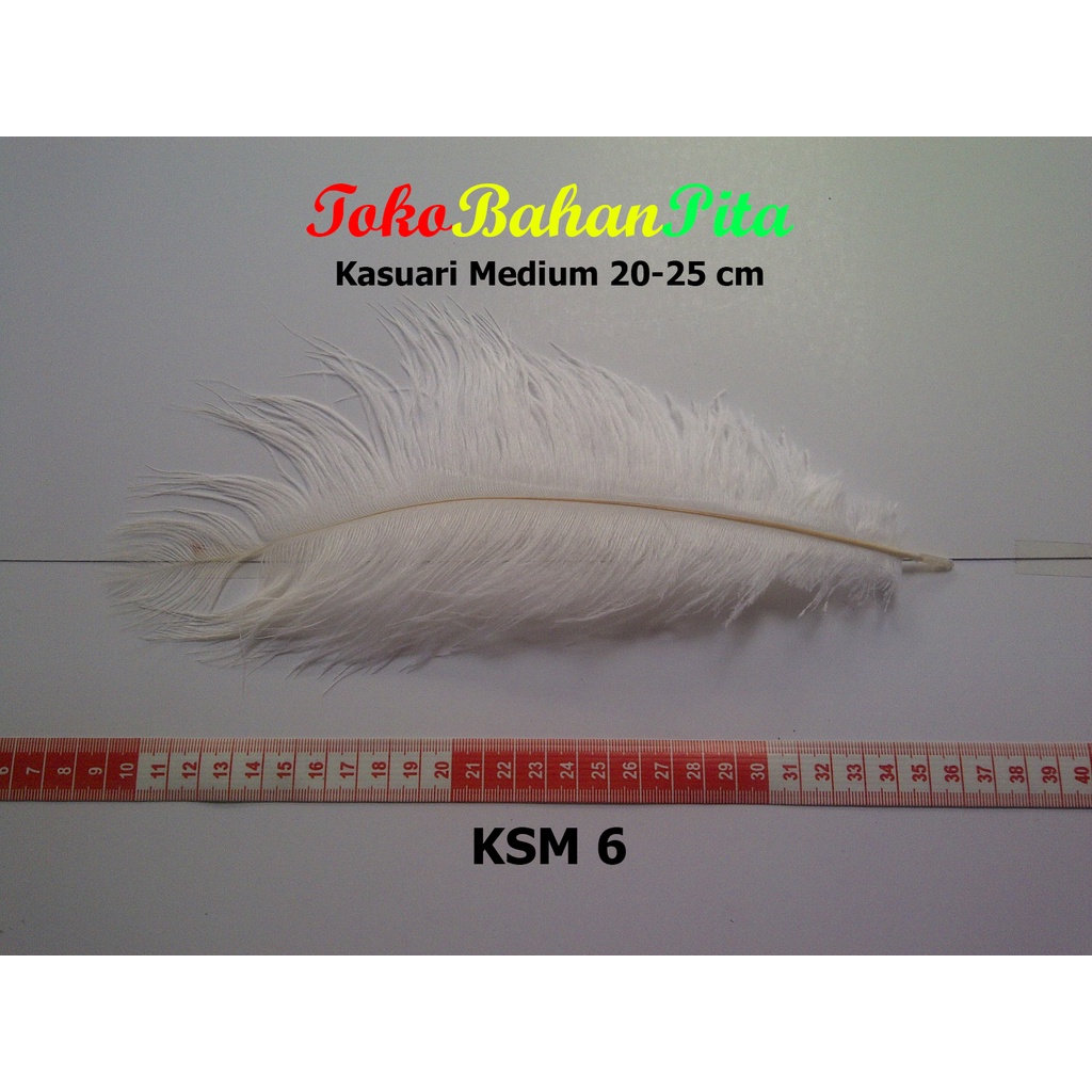 (1 HELAI) BULU DEKORASI 20-25cm KSM 6 | OSTRICH | BULU HIAS | BULU CRAFT | TOKO BAHAN PITA