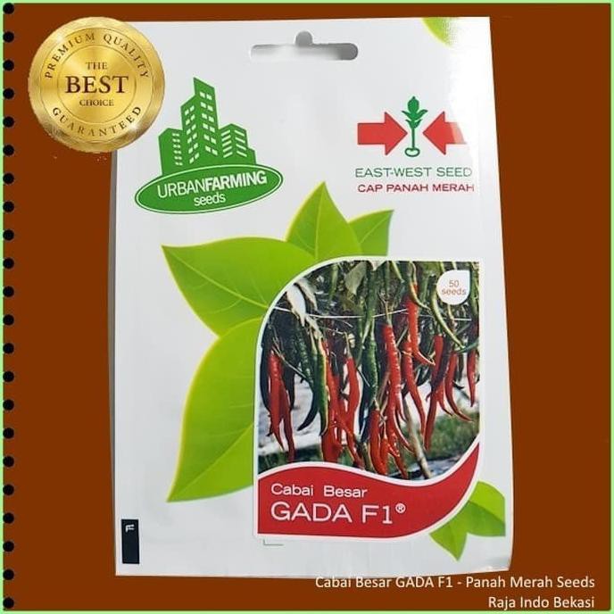 Benih Biji Cabai Besar Gada F1 Cap Panah Merah 50 Biji Cabe Terbaik produk original