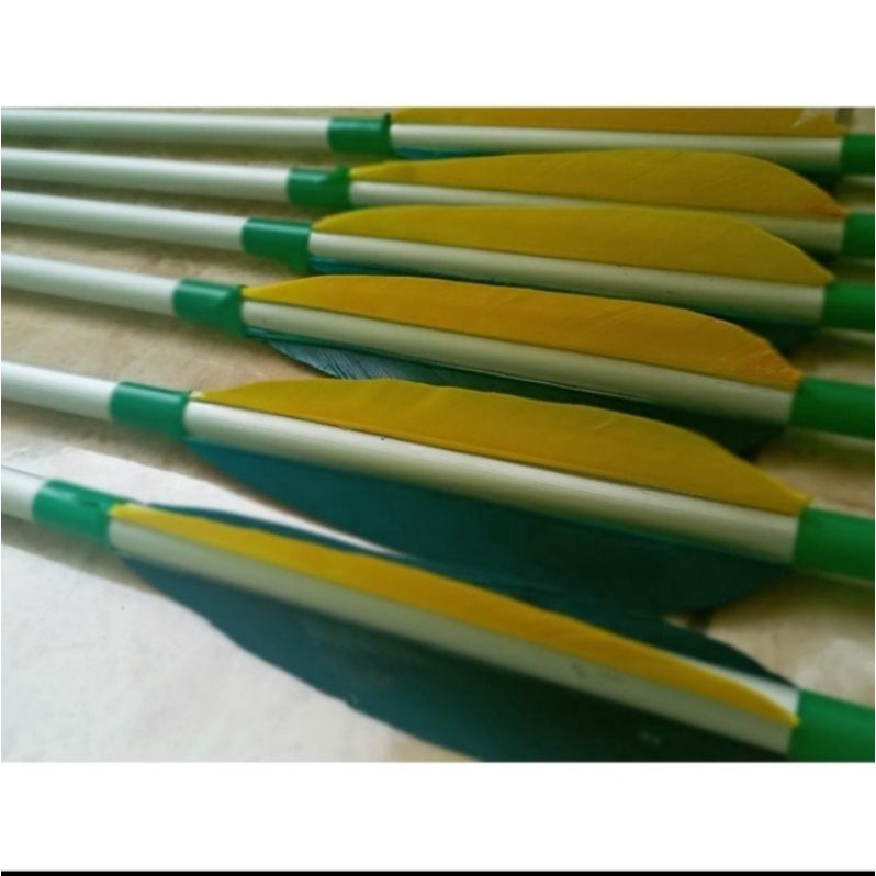 Arrow almunium vanes bulu entog