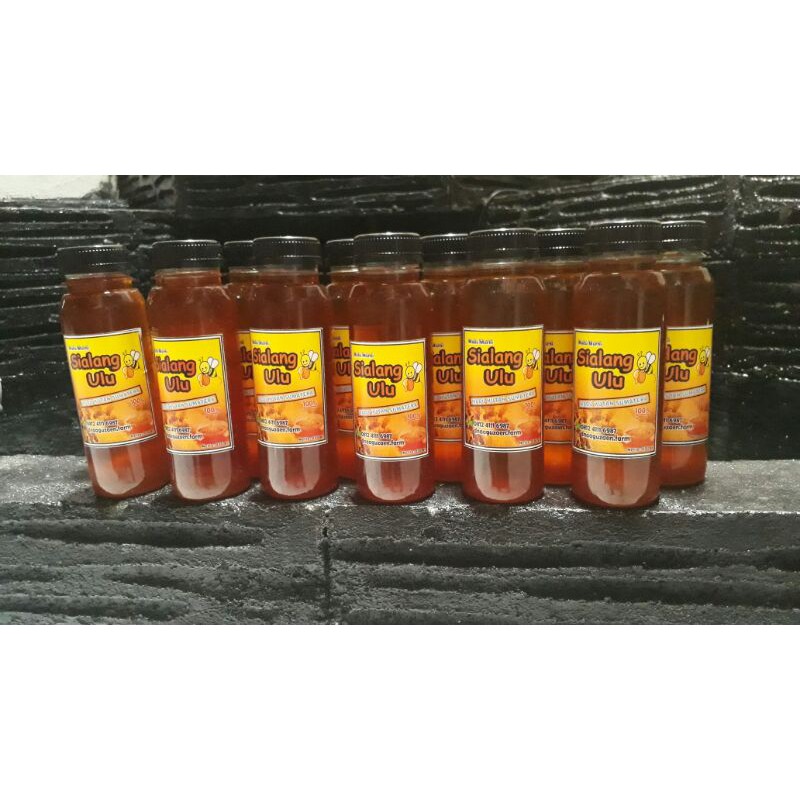 

madu sialang ulu