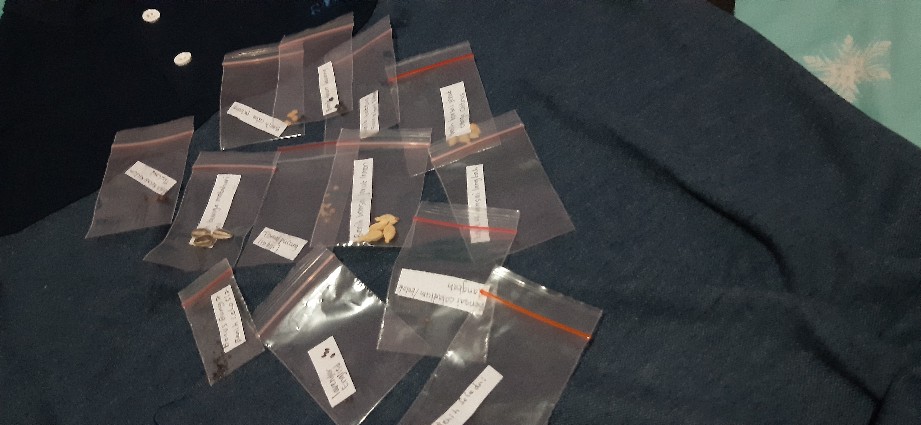 Polybag 20 X 20 Cm (kantong Plastik Polibag 1 Lembar)