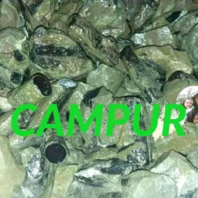 

Sempur black opal campur 100% masih frees