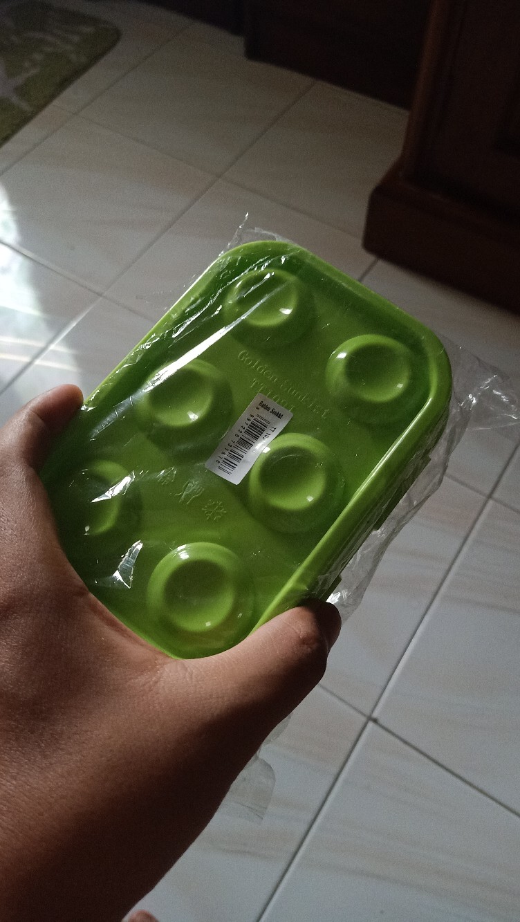 Tempat Telur Isi 6 Golden Sunkist
