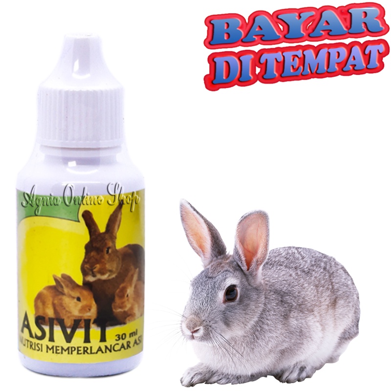 VITAMIN KELINCI MENYUSUI ASIVIT RABBIT PELANCAR ASI AIR SUSU