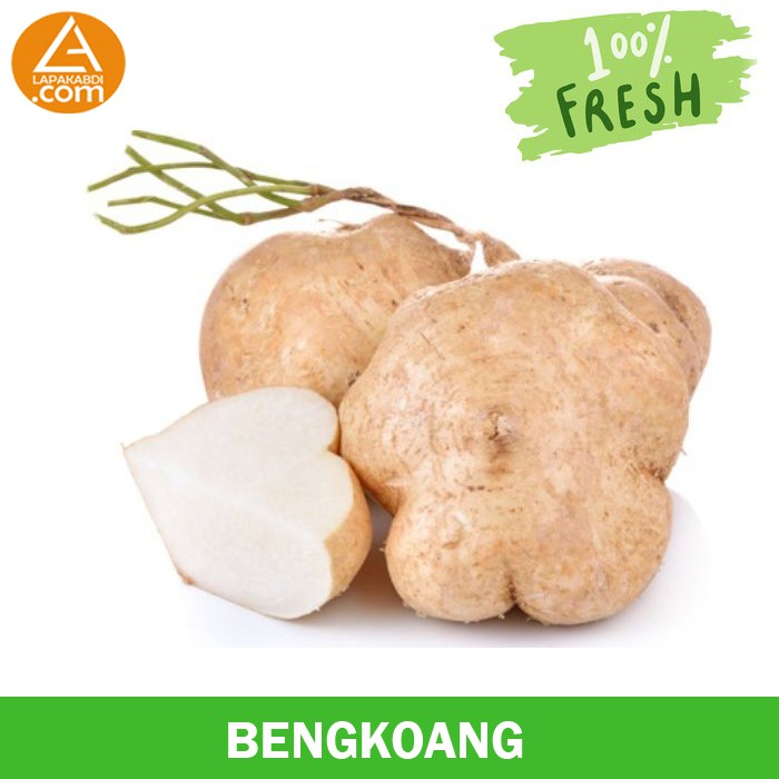 

Bengkoang 1 Kg Buah Segar Garansi Termurah
