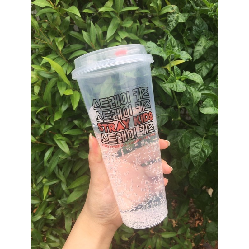 STRAY KIDS REUSABLE CUP