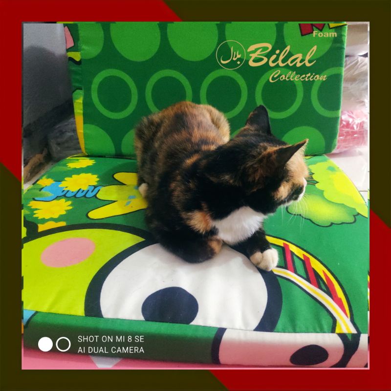 BANTAL ALAS DUDUK KURSI/LESEHAN MOTIF KEROPPI TEBAL 4CM