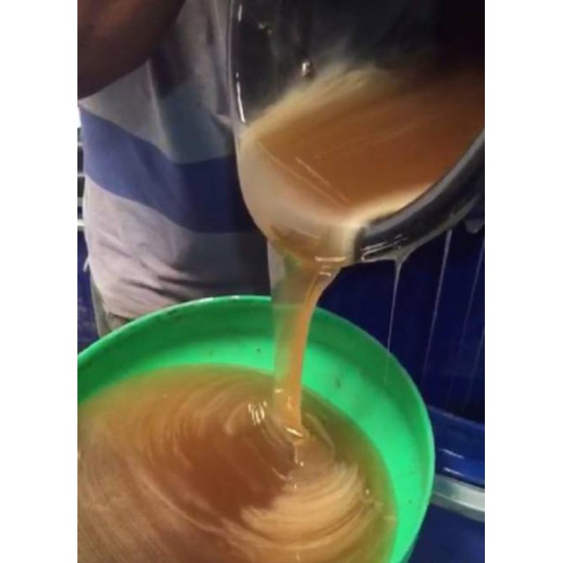 Madu Mentah Nektar Klengkeng 100% - Madu Murni Asli Ternak - Madu Mentah Original