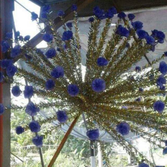 

Manggar / daun kelapa