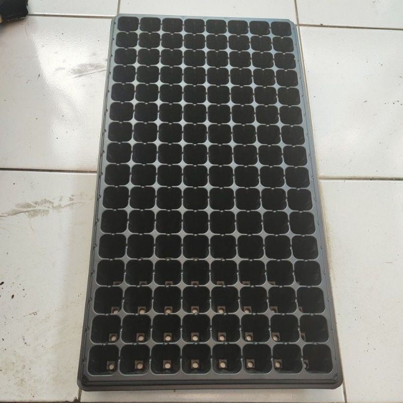 Tray semai 128 lubang